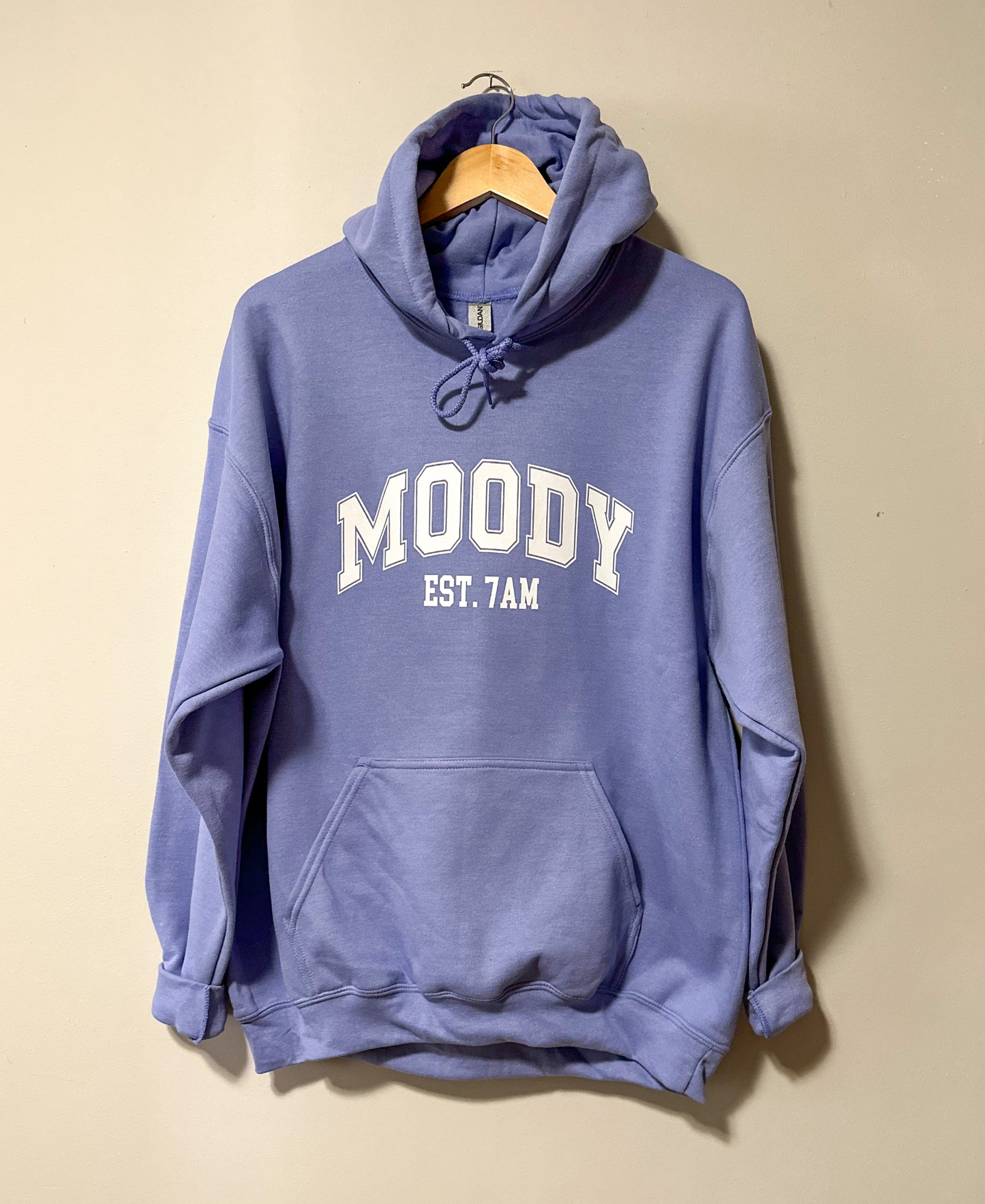 Moody Unisex Hoodie